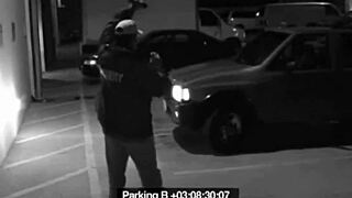 Slut Blows Security Guard to Dodge a Fine Outdoors!