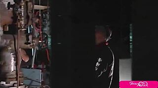 Stacked babe Tera Patrick gets wrecked in a kinky scene, bent over, licked, and fucked hard while riding that monster cock
