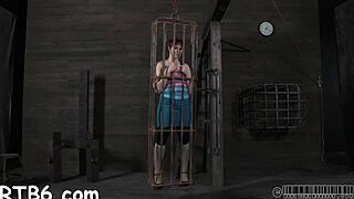 four beauties trapped inside a petite cage