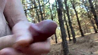 Clitlicker662 shares UPDATE 23 with IMG 1265 on Dec 12 2024